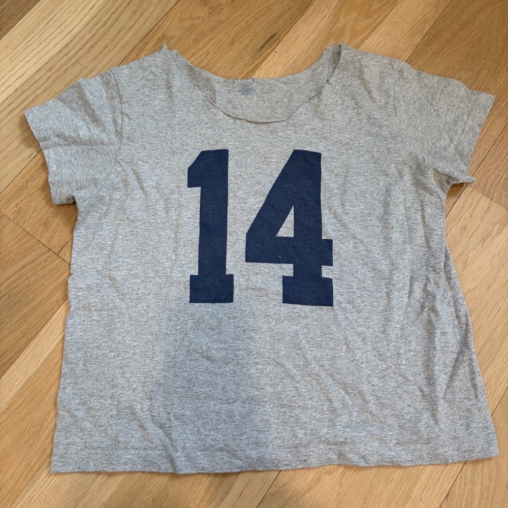 Brandy Melville Gray Cutoff Tee with Navy Print